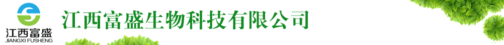 ʢƼ޹˾
