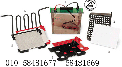 Bio-Rad785D(zhun)ӡxa(chn)ƷDƬ