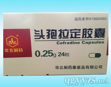^z0.25g24Aˎ