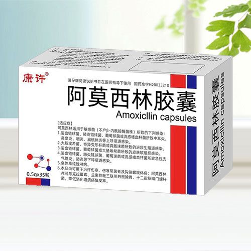 阿莫西林膠囊（康許*天行?。?/></a></i><h4><a href=