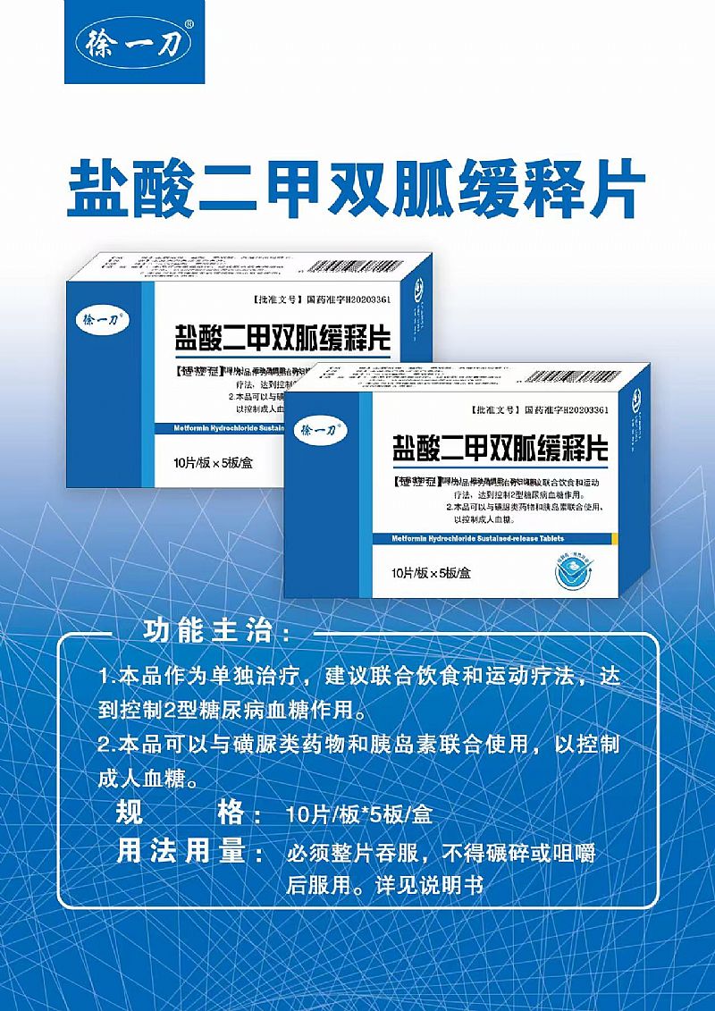 鹽酸二甲雙胍緩釋片