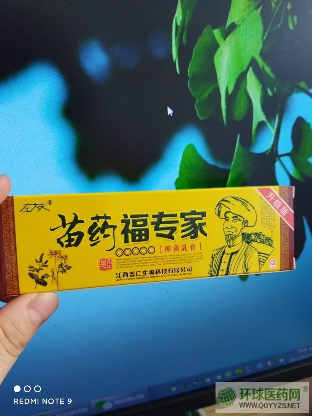 ˎ
